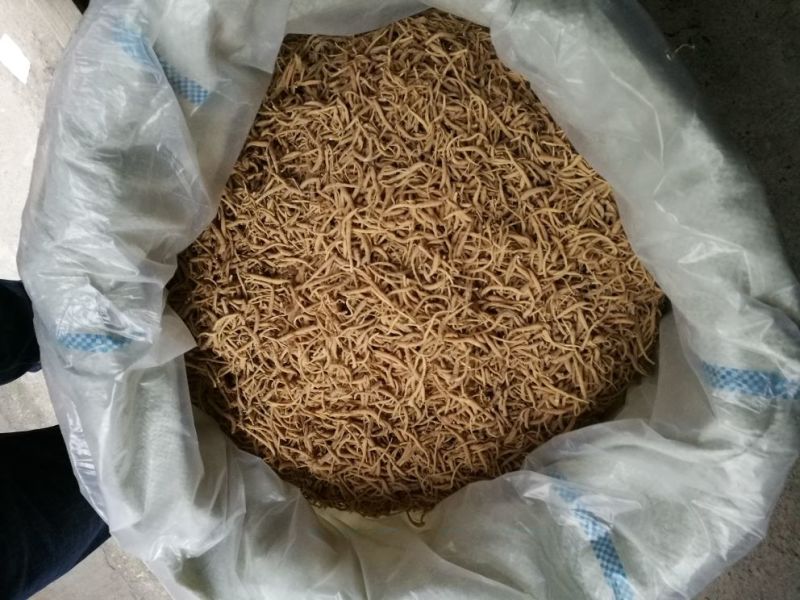 太子参