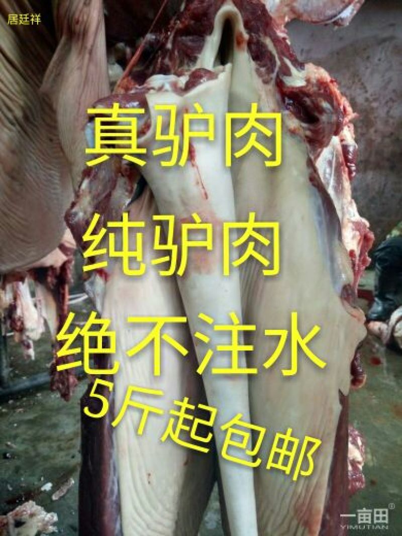 驴肉新鲜驴肉真驴肉