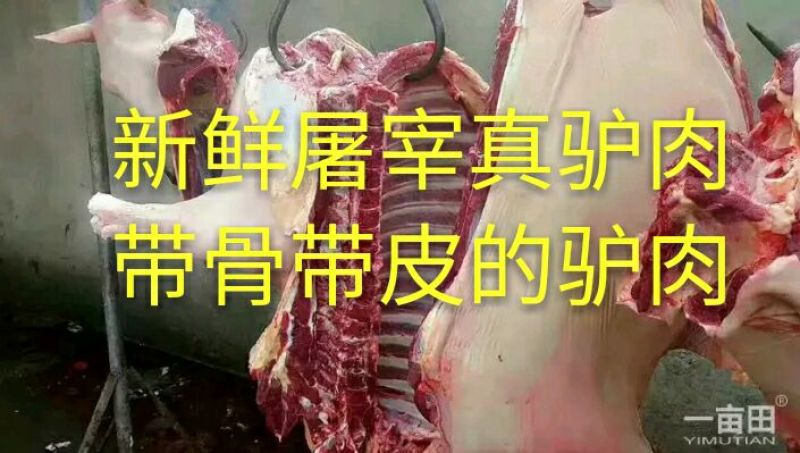 驴肉新鲜驴肉真驴肉