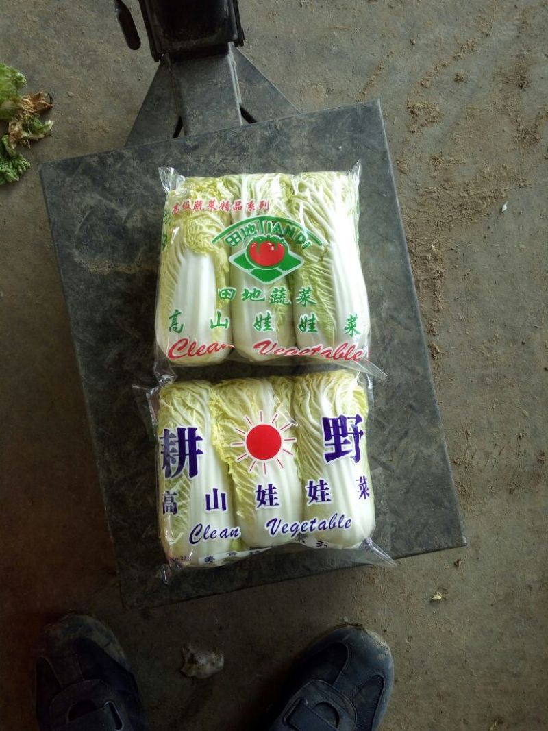 娃娃菜10两以上以上