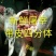 马肉新鲜马肉马副产品