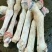 马肉新鲜马肉马副产品