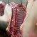 马肉新鲜马肉马副产品