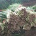 韭菜头茬
