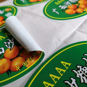柑橘水果商标
