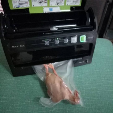 冰冻乳鸽