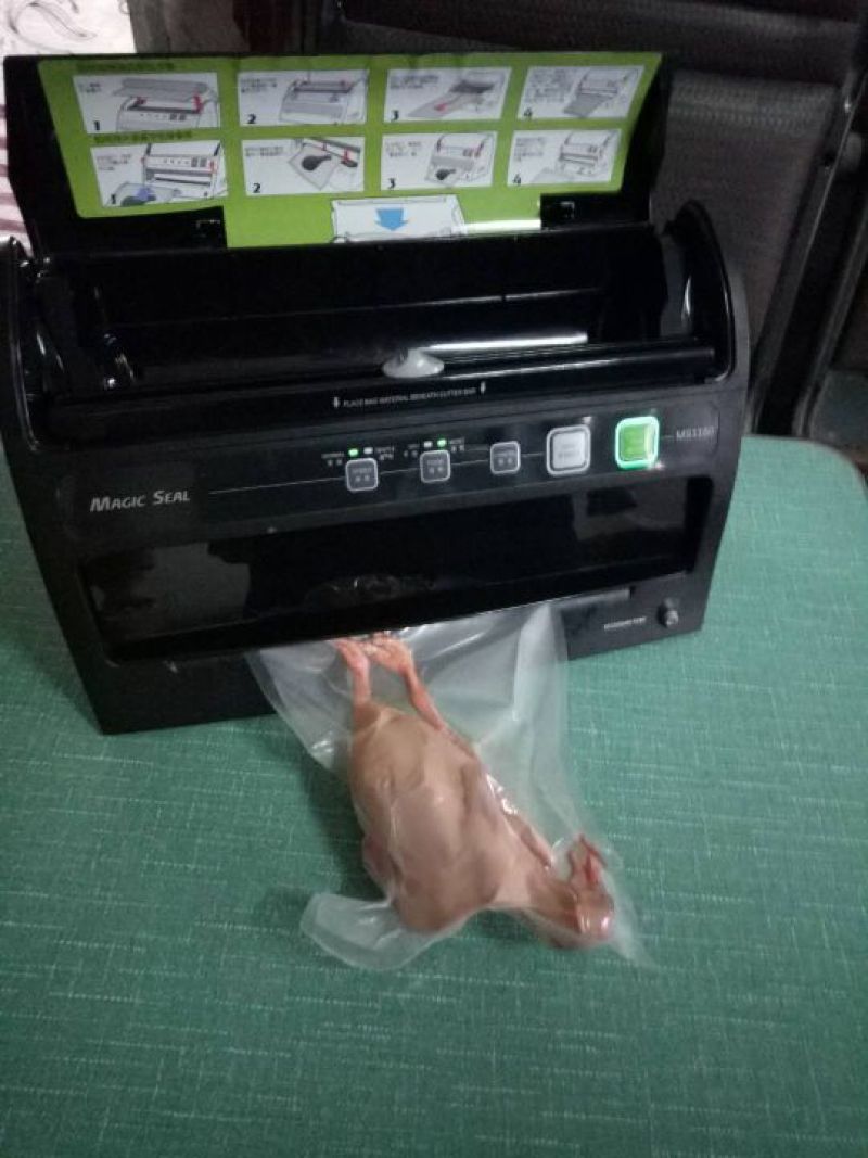 冰冻乳鸽