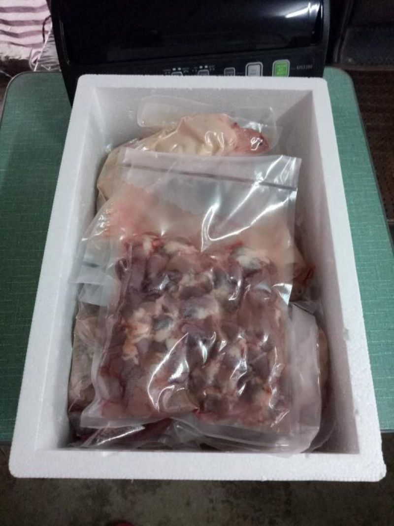冰冻乳鸽