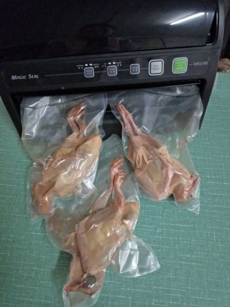 冰冻乳鸽