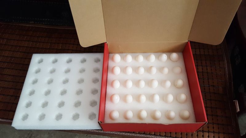 鸽子蛋食用