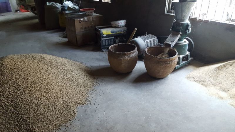 鸽子蛋食用