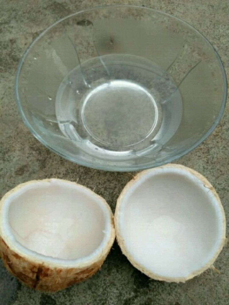 椰子去皮椰子