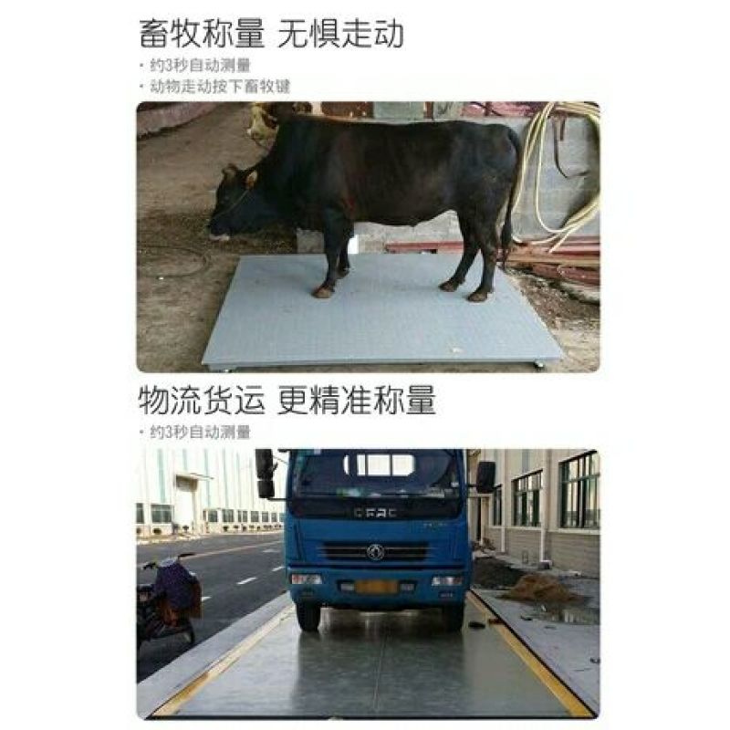 电子秤