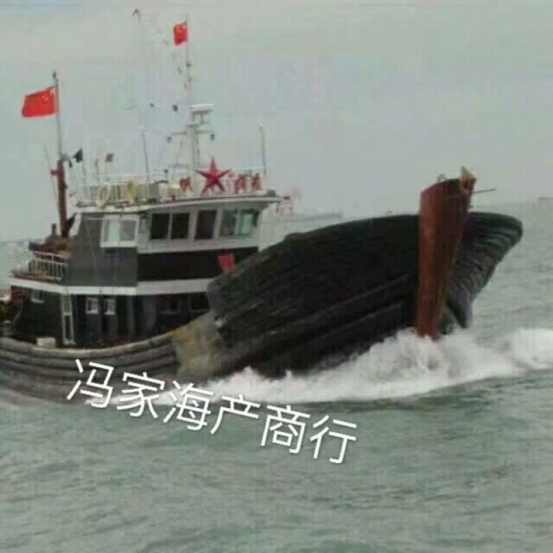 皮皮虾冻虾