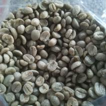 阿拉比卡豆云南小粒咖啡生豆原料可提供产地检测报告