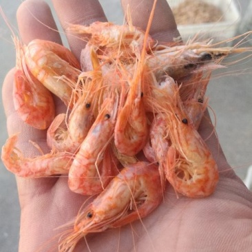 红虾干