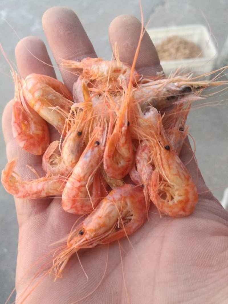 红虾干