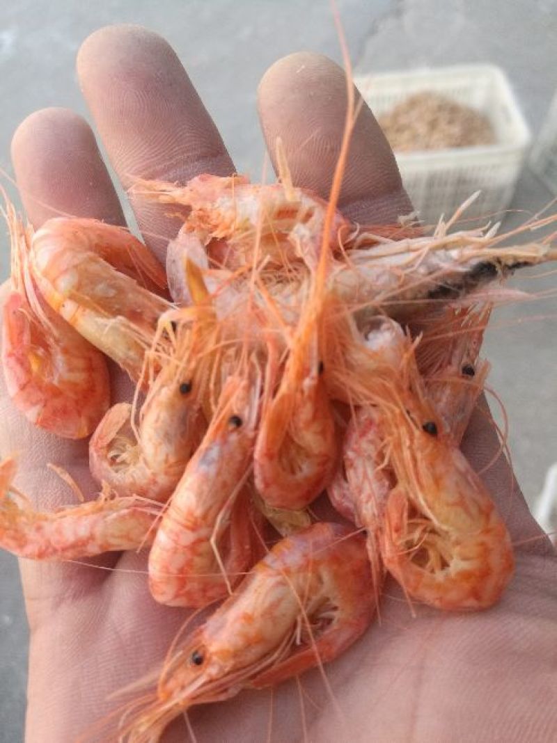 红虾干