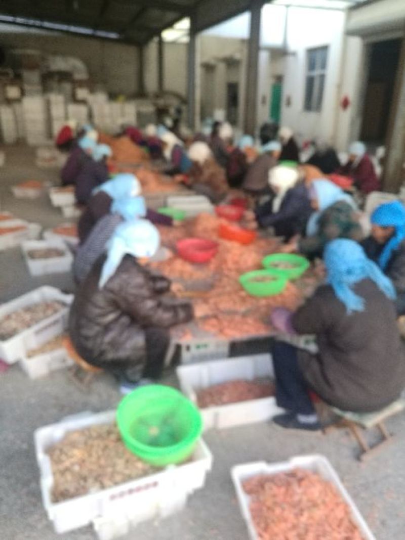红虾干