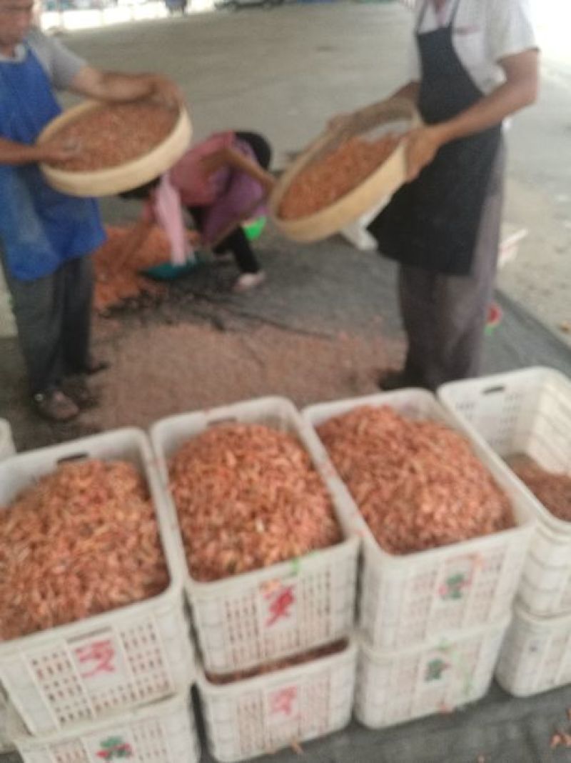 红虾干