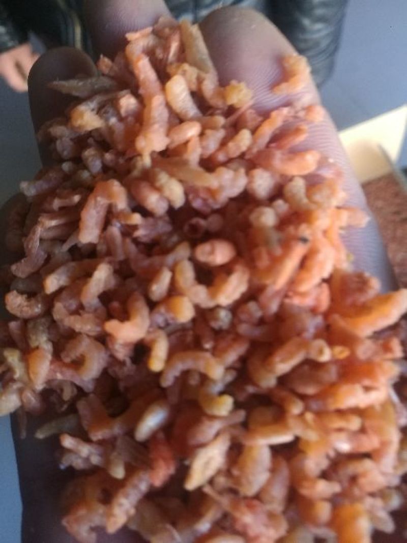 虾仁一级
