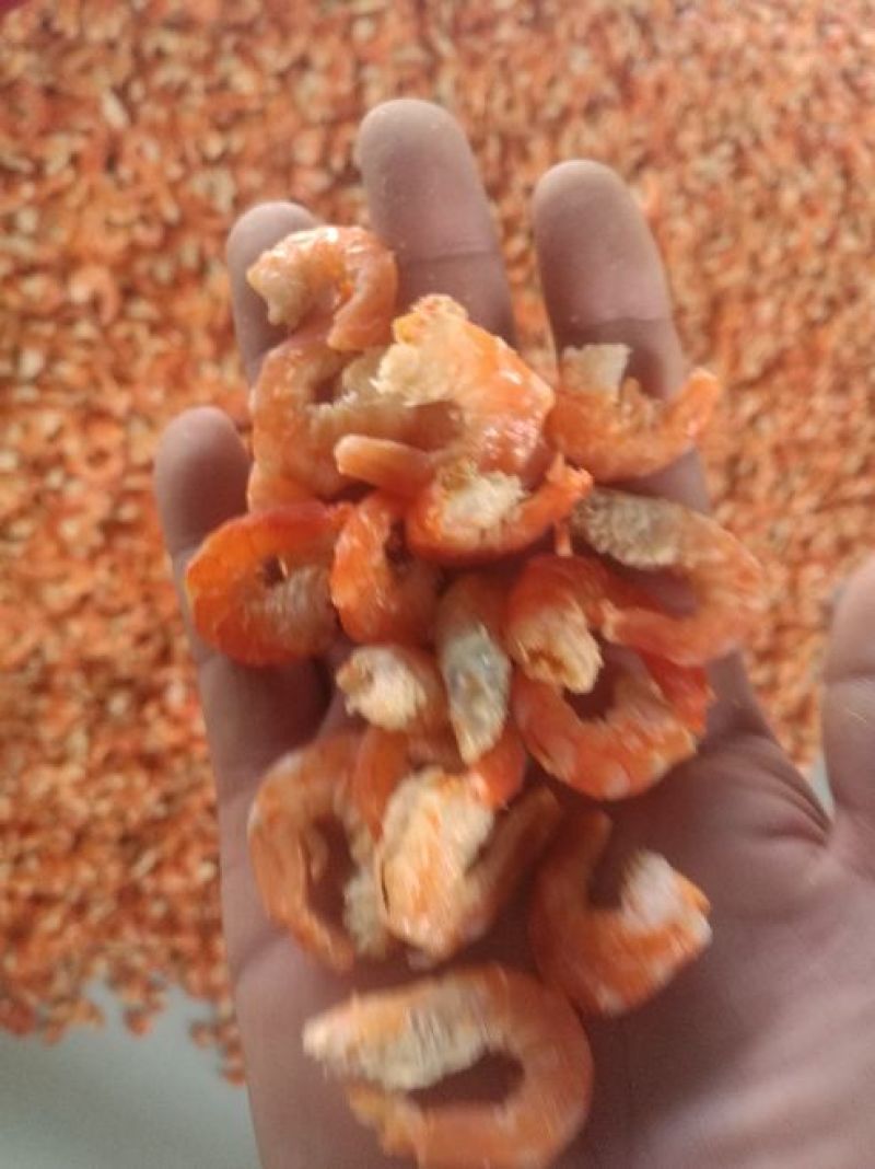 虾仁一级