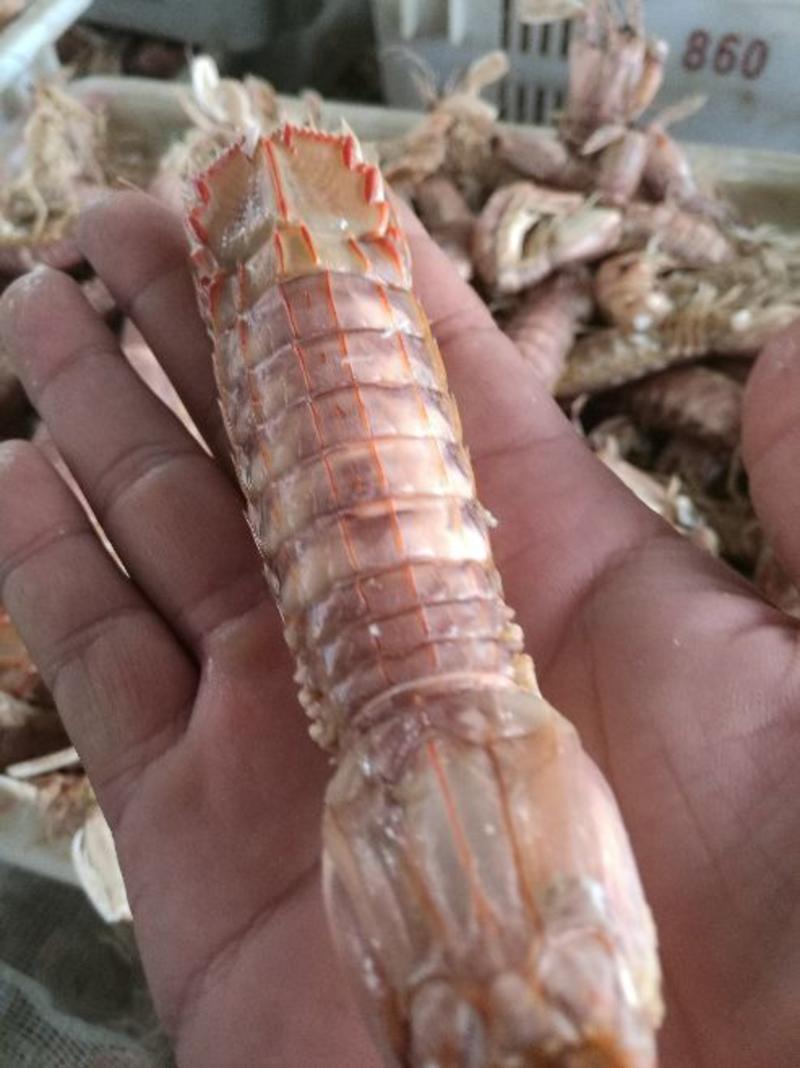 琵琶虾食用冻虾