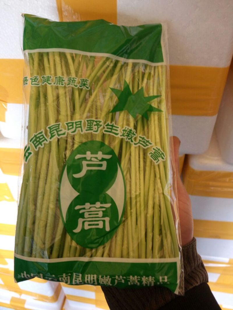 芦篙