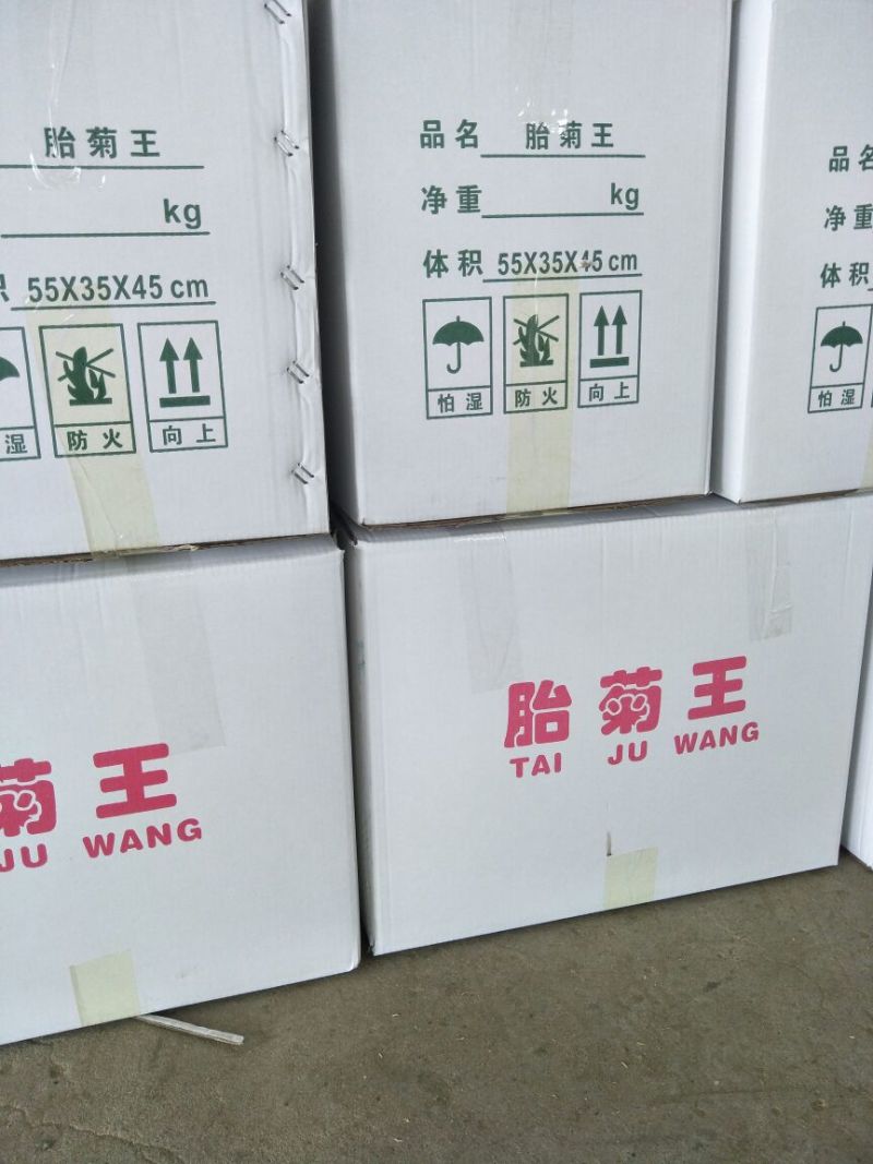 菊花茶特级