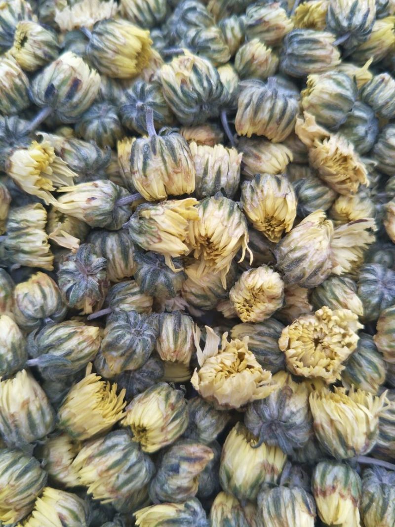 菊花茶特级