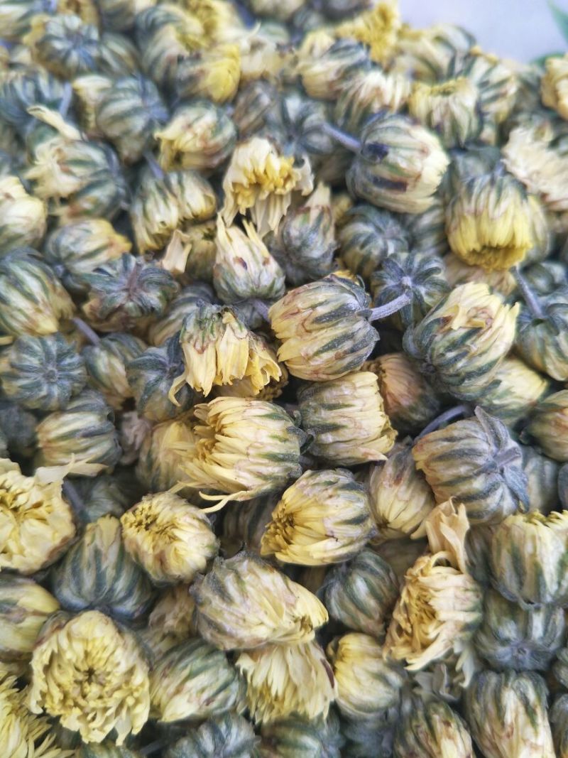 菊花茶特级