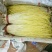 蒜黄40~50cm