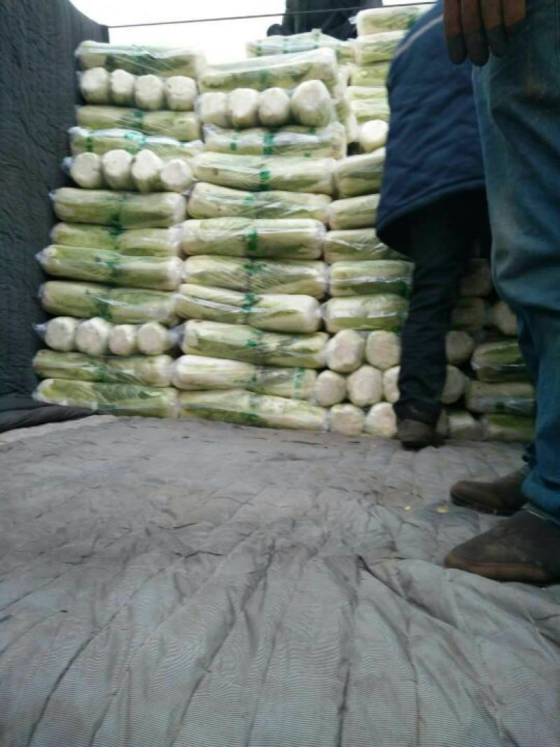 山东大白菜酸菜厂加工厂市场商超散装袋装大量供应