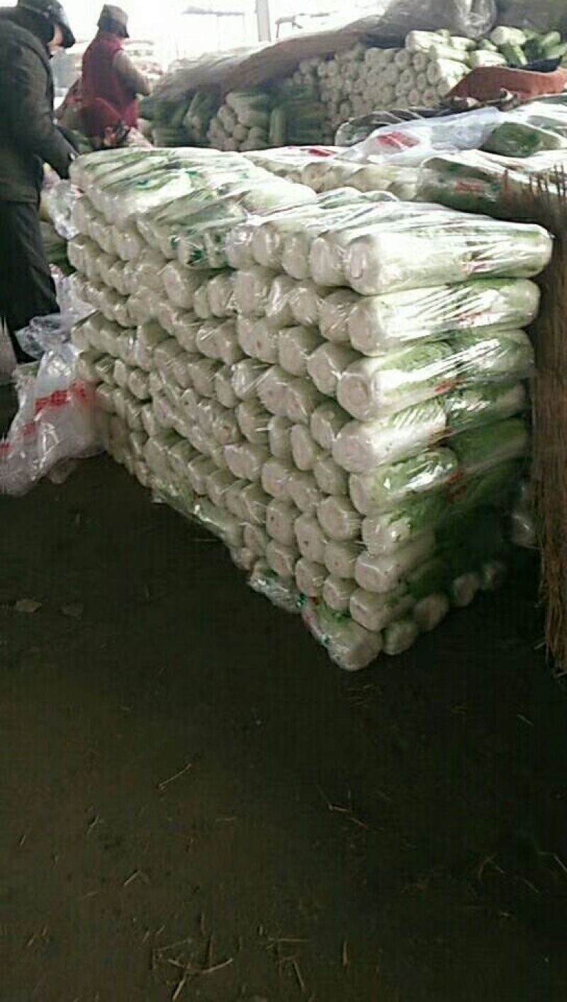 山东大白菜酸菜厂加工厂市场商超散装袋装大量供应