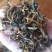 红茶一级