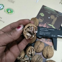 云南紫米山核桃25~30mm去皮干核桃