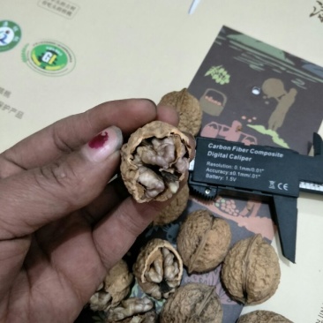 云南紫米山核桃25~30mm去皮干核桃