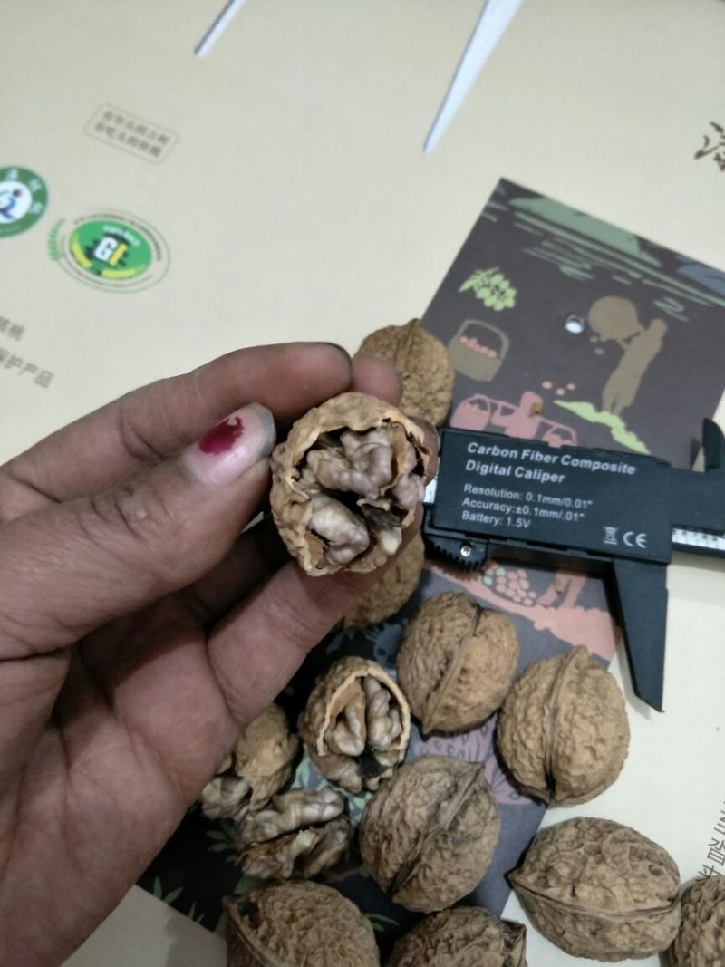 云南紫米山核桃25~30mm去皮干核桃