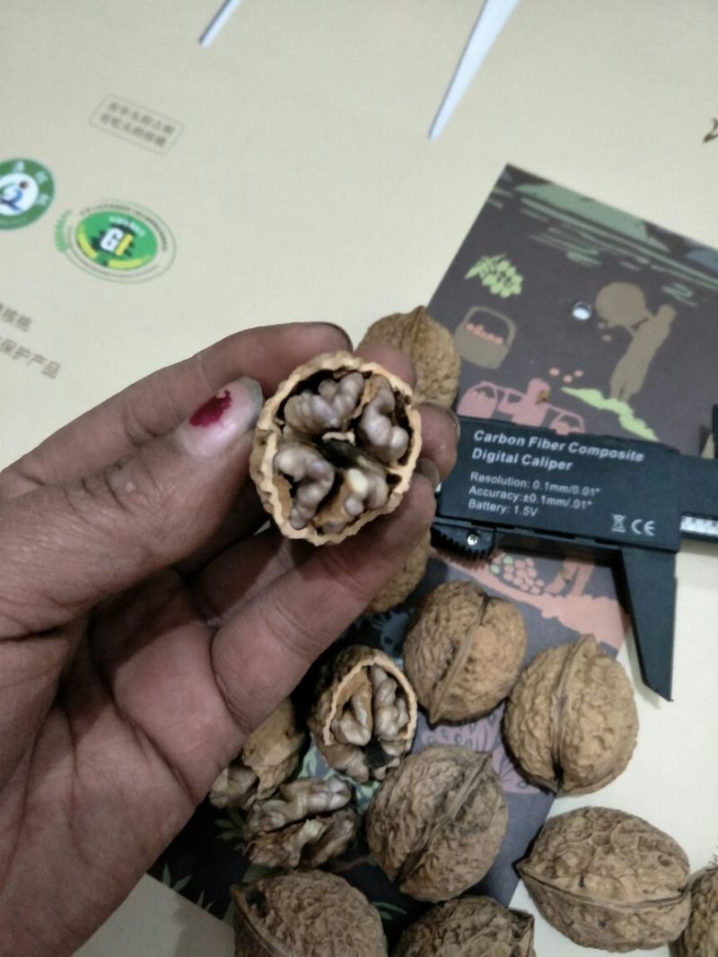 云南紫米山核桃25~30mm去皮干核桃