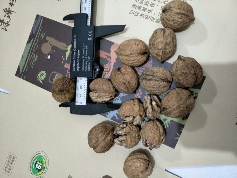 云南紫米山核桃25~30mm去皮干核桃
