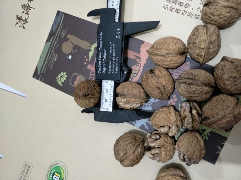 云南紫米山核桃25~30mm去皮干核桃