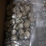 产地一件代发随州挖脚茶花菇厚冬菇整箱15公斤批发包邮