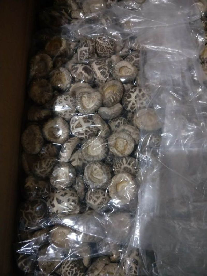 产地一件代发随州挖脚茶花菇厚冬菇整箱15公斤批发包邮