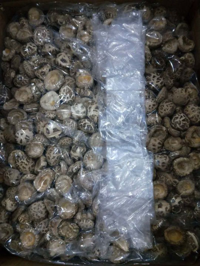 产地一件代发随州挖脚茶花菇厚冬菇整箱15公斤批发包邮