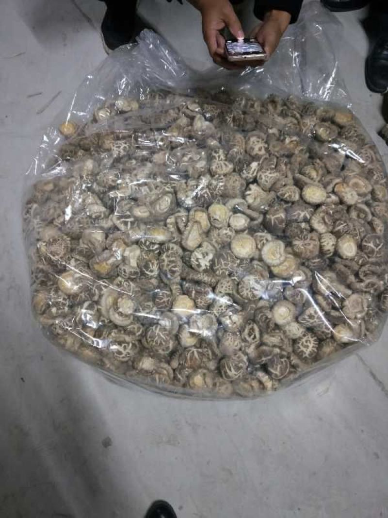 产地一件代发随州挖脚茶花菇厚冬菇整箱15公斤批发包邮