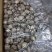 产地一件代发随州挖脚茶花菇厚冬菇整箱15公斤批发包邮