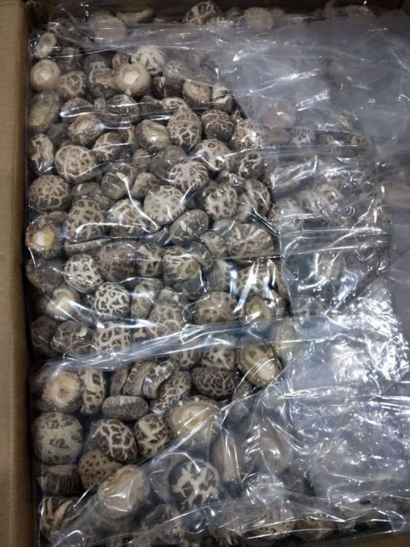 产地一件代发随州挖脚茶花菇厚冬菇整箱15公斤批发包邮