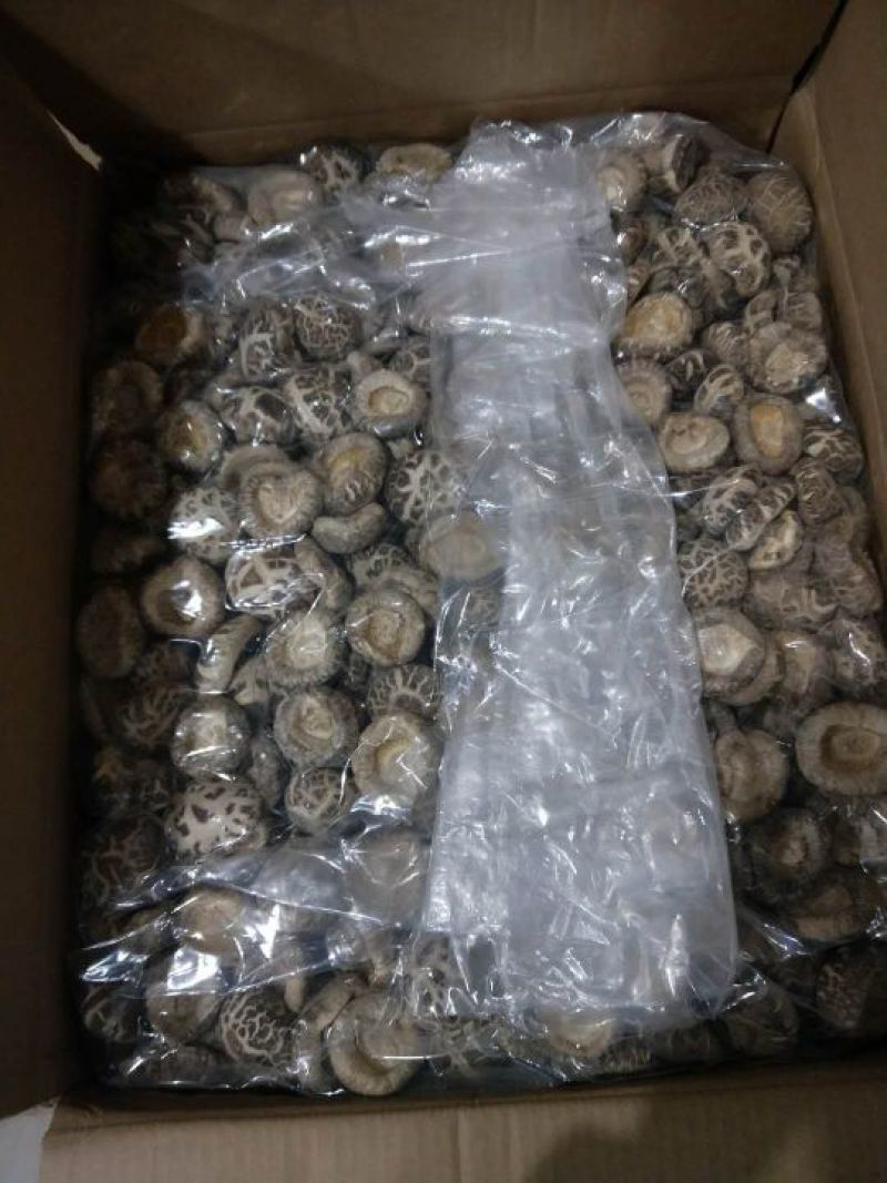 产地一件代发随州挖脚茶花菇厚冬菇整箱15公斤批发包邮