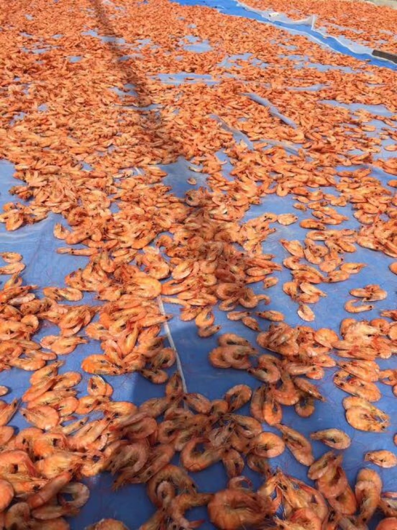 对虾干