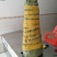 茂谷柑苗50~80cm